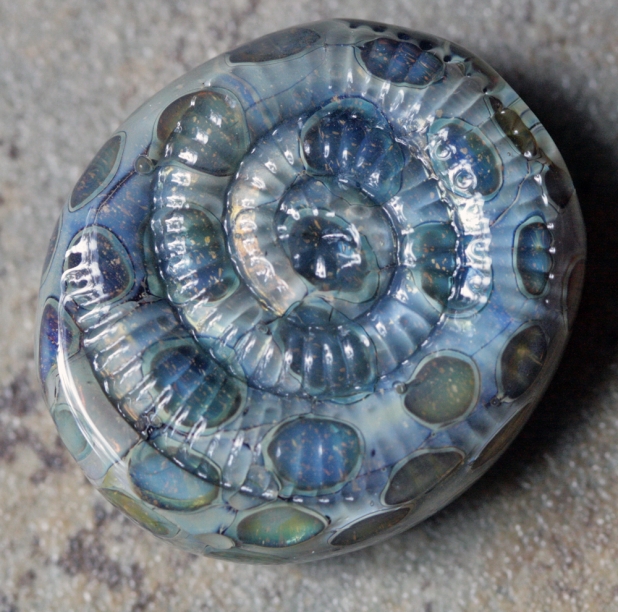 Jen Cameron Ammonite