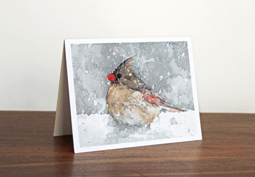 DS Watercolors Notecards