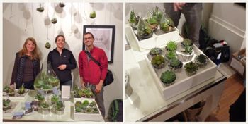 Lila B. Design Team and succulent arrangements